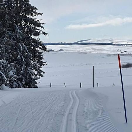 Appartement 6 Personnes Au Coeur De Super Besse ภายนอก รูปภาพ