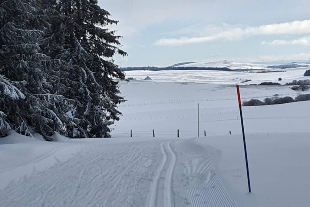 Appartement 6 Personnes Au Coeur De Super Besse ภายนอก รูปภาพ